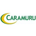 Caramuru